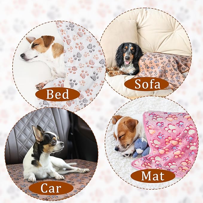 Dog Blanket